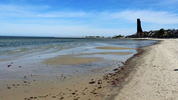 Una playa con cielo despejado, orilla arenosa y una estructura alta a lo lejos.