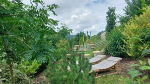 Un giardino con panchine in legno, un'altalena e diverse piante.