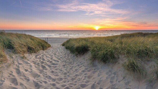 House | View from property - Villa on Texel Near Beach and Forest (De Koog)