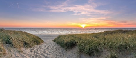 House | View from property