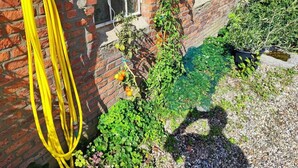 En murstensbygning med en haveslange, et vindue og en have med forskellige planter.