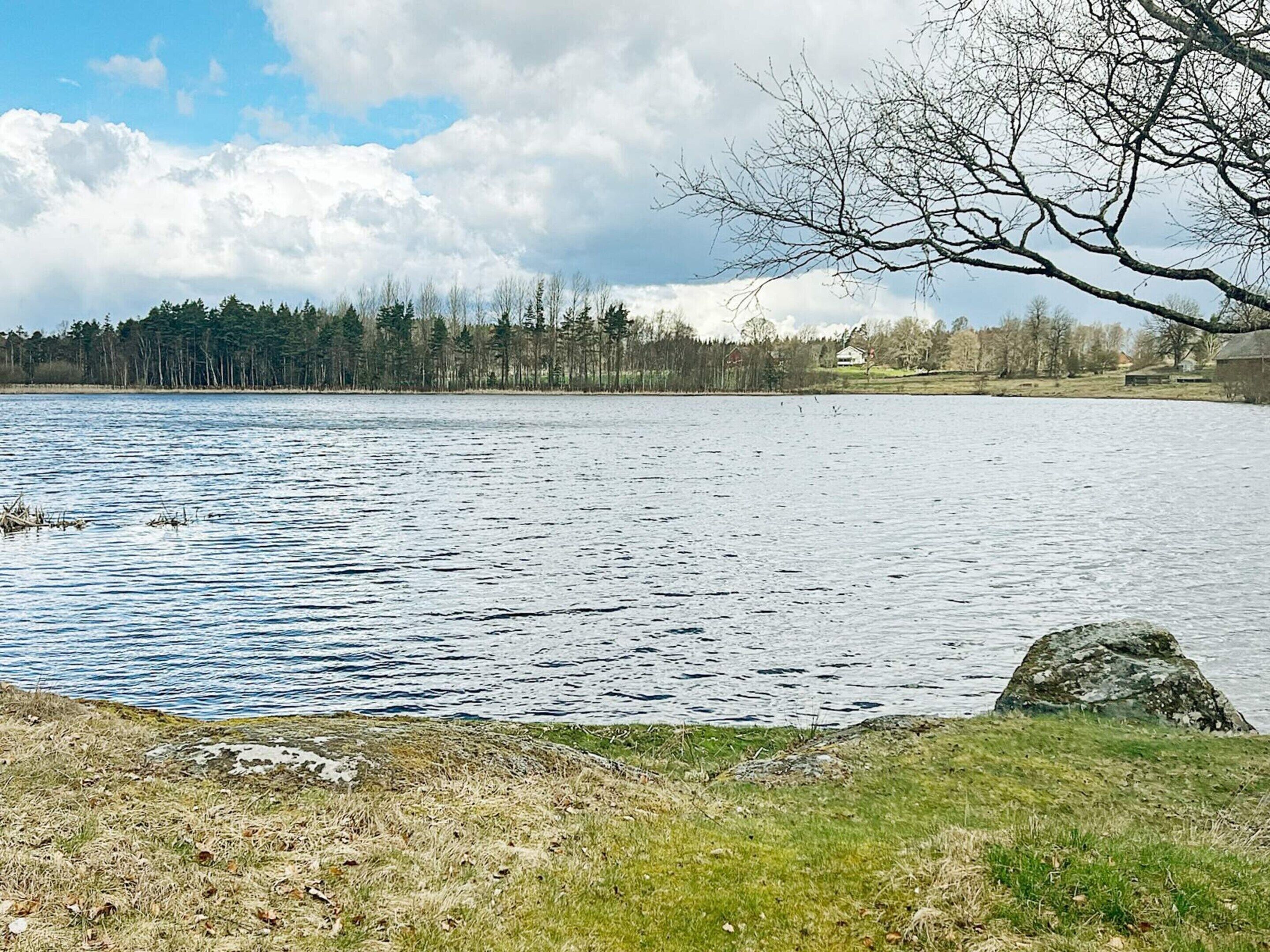 A lake with a grassy shore, a large rock, and a leafless tree branch extending over the water.
