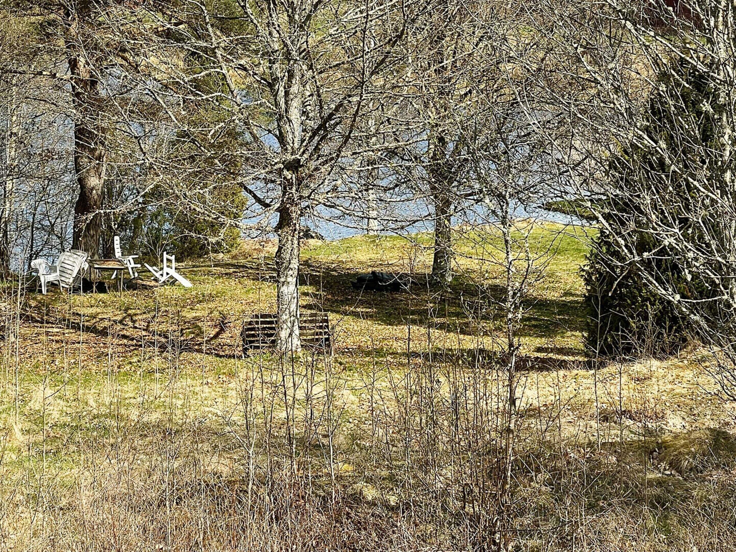 House | Property grounds