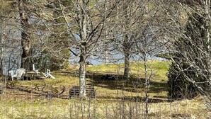 Un paysage naturel avec des arbres, une zone herbeuse et une étendue d’eau en arrière-plan.