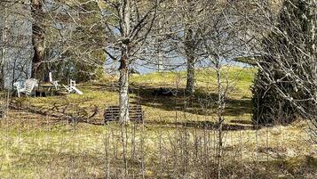 House | Property grounds
