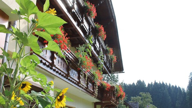 A traditional chalet with wooden balconies adorned with red flowers, a sunlit garden, and a view of a forested area. - Apartment in Tropolach With Sauna (Hermagor-Pressegger See)