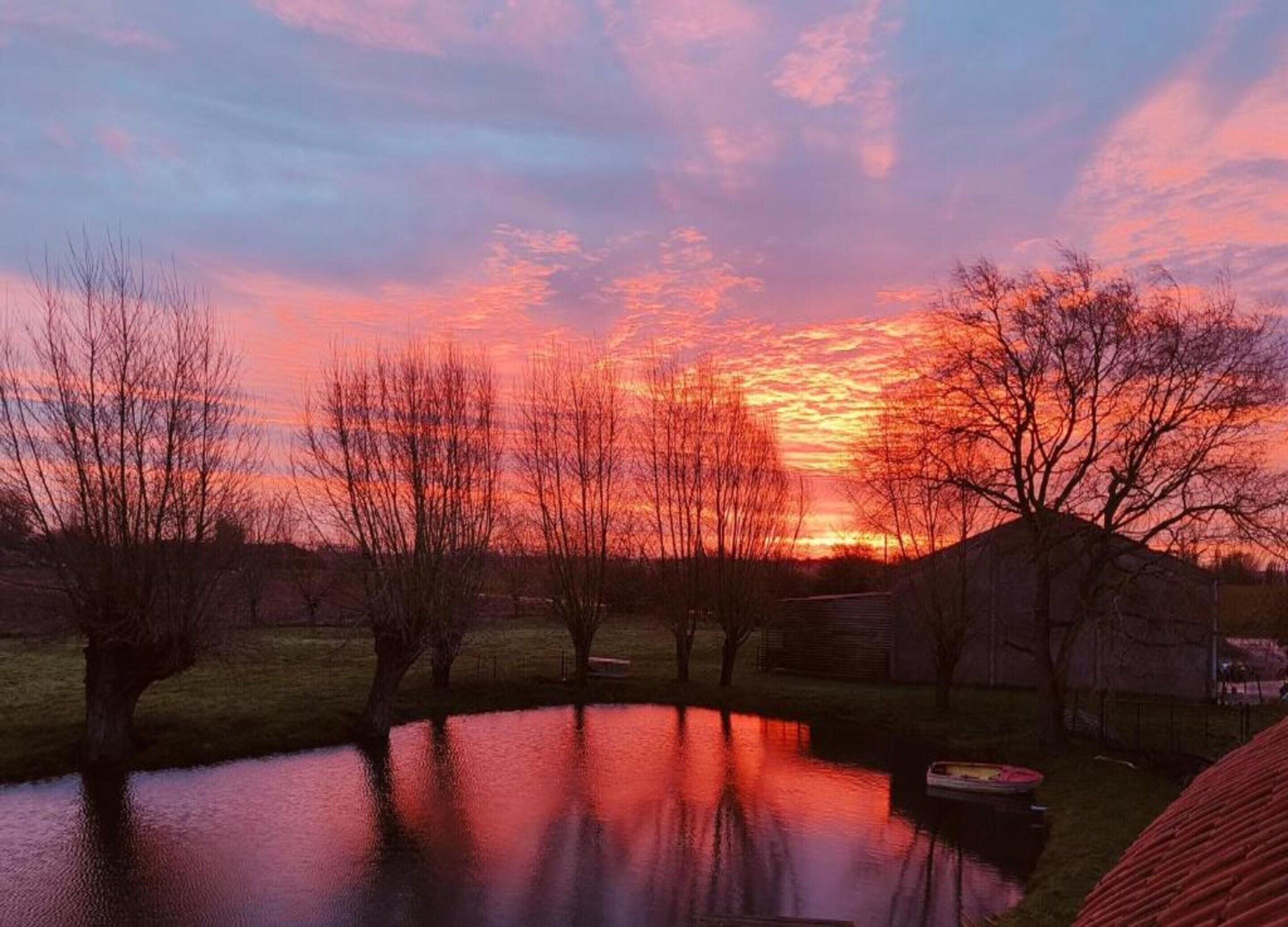 A sunset over a pond with trees and a small building in the background.