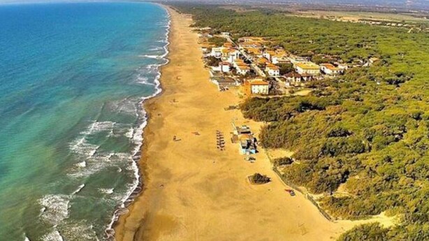 Vista aérea de una zona costera con playa, un conjunto de edificios y una zona boscosa.