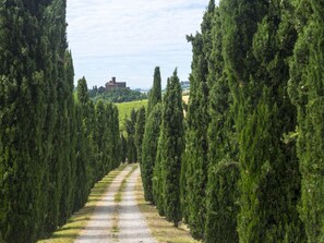 Apartment | 3 bedrooms, individually furnished, iron/ironing board - Holiday Home Casa Nanda (Mombaruzzo)