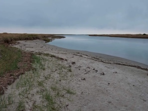 Une rive de rivière paisible, avec une végétation clairsemée et un ciel dégagé.