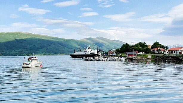 A harbor with boats, a large ship, and houses along the shore. - 4 Star Holiday Home in Vikholmen (Nesna)