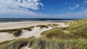 Une plage avec des dunes et un ciel dégagé.