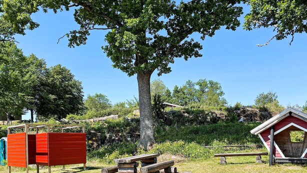 A picnic area with a wooden bench and a small red structure, surrounded by trees and a grassy field. - 4 Star Holiday Home in Aplared (Aplared)