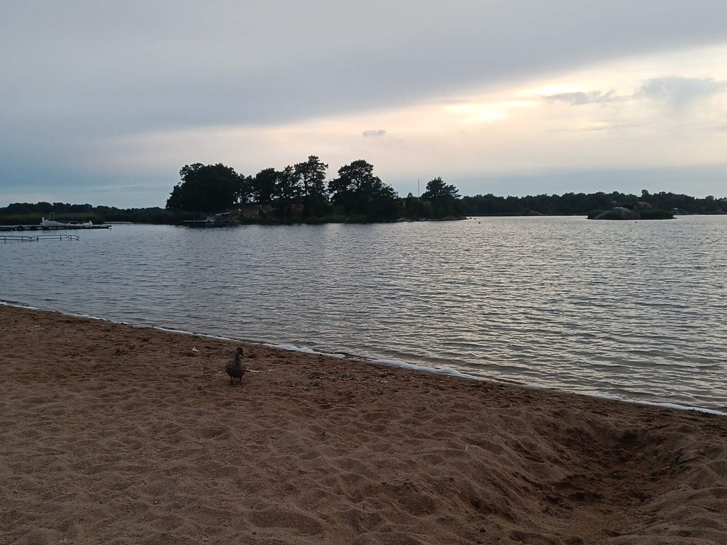 A beach with a calm lake, a small island with trees, and a dock.