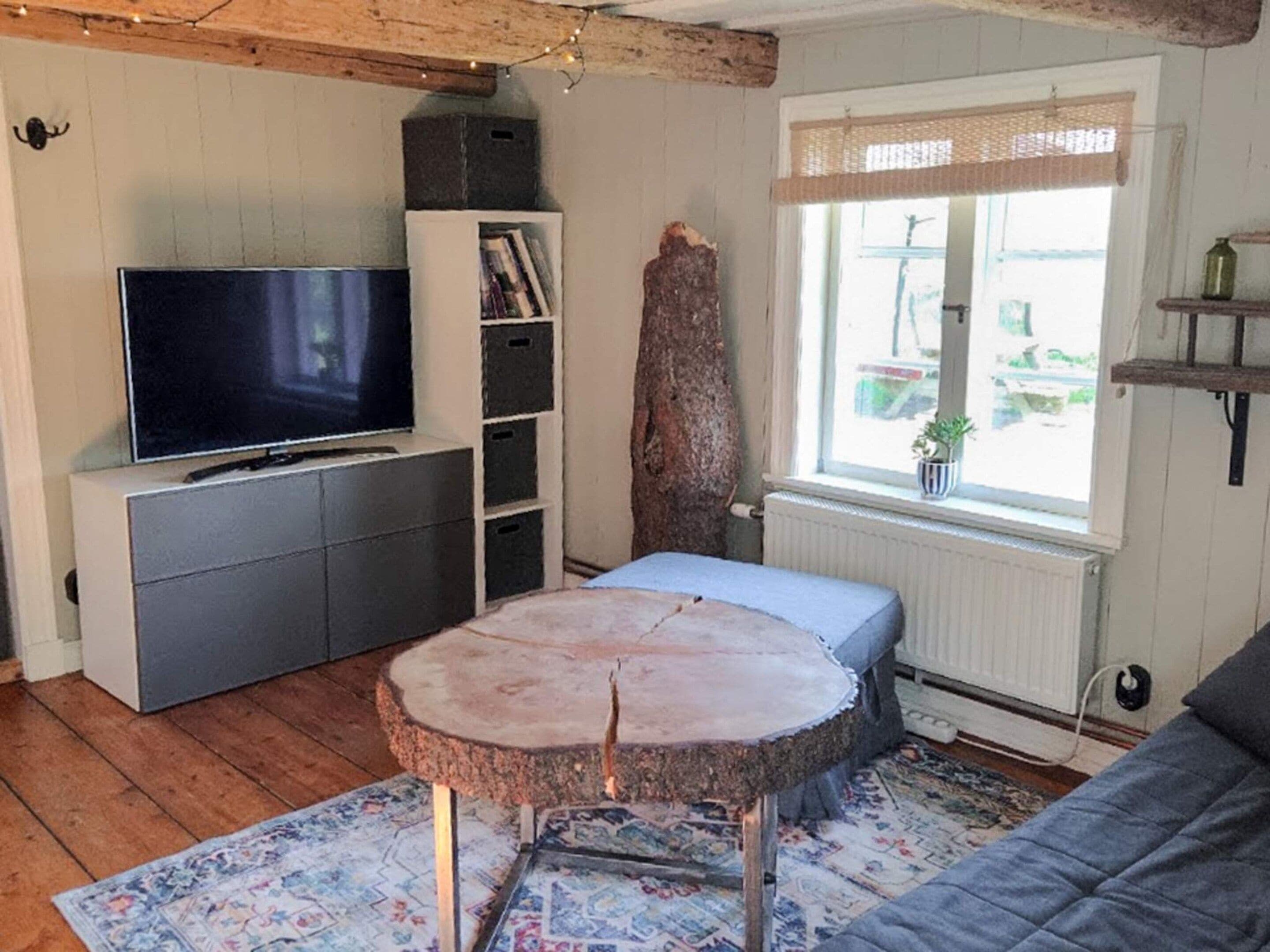 A cozy room with a television, a bookshelf, a large tree stump, and a window with a view.