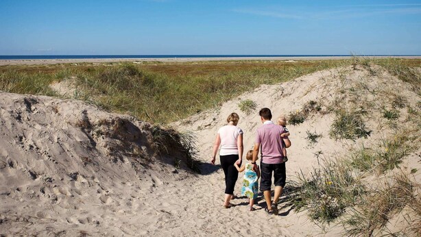 A sandy beach with dunes and a clear sky.