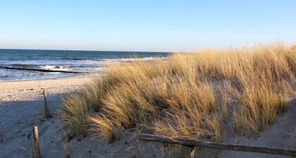 "isabel" in the House to the cog