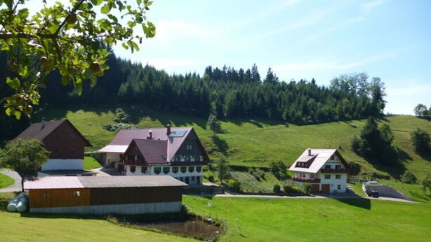 A rural landscape with a large barn, a white house with a red roof, and a smaller house with a red roof, surrounded by green fields and trees.