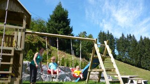 A wooden play structure with a swing set, slide, and climbing ladder.
