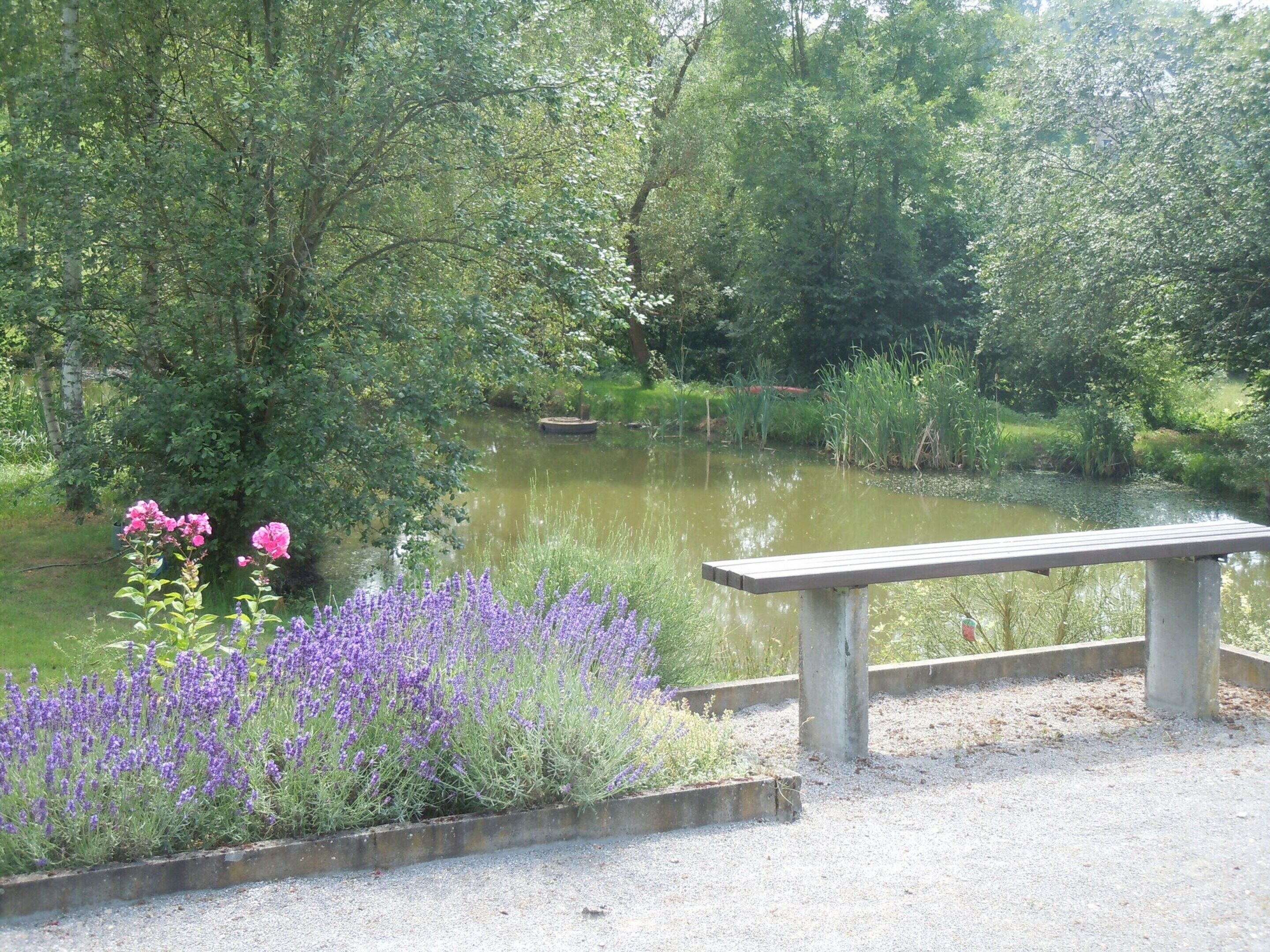 A park with a gravel path, a concrete bench, and a pond with water lilies.
