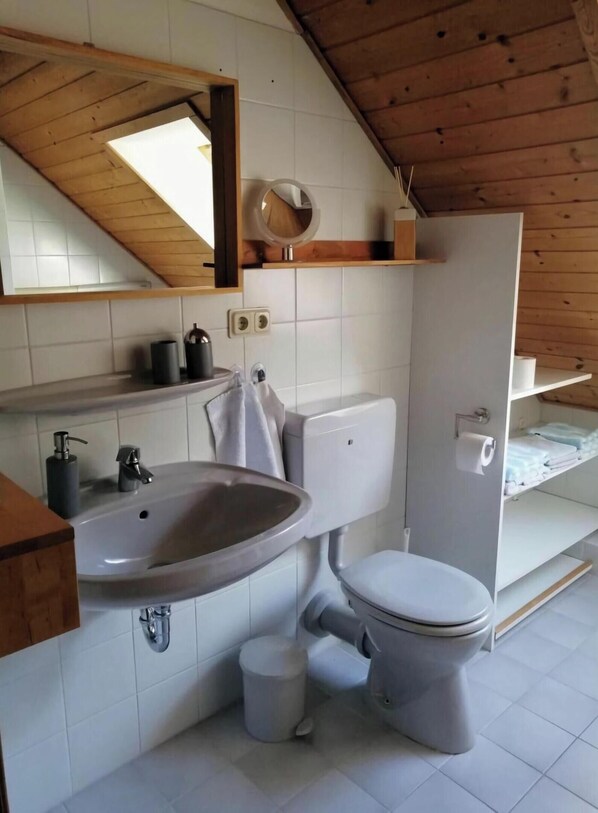 A modern bathroom with a wooden ceiling, a white sink, a toilet, and a mirror above the sink. - Holiday Apartment Schutt in Seedorf (Seedorf)