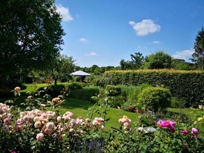 A garden with various plants and flowers, a hedge, and a white umbrella. - Holiday Apartment Schutt in Seedorf (Seedorf)