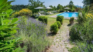 A garden with a swimming pool, surrounded by various plants and flowers.