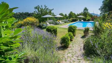 House | Pool | Indoor pool, outdoor pool