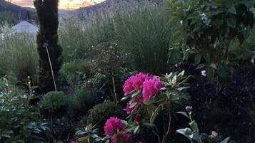 House | Property grounds