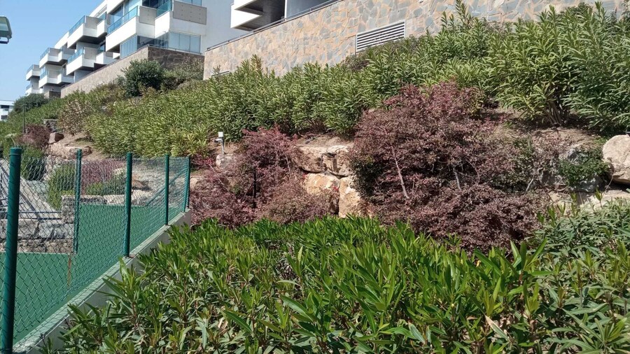 Sunny Garden Apartment