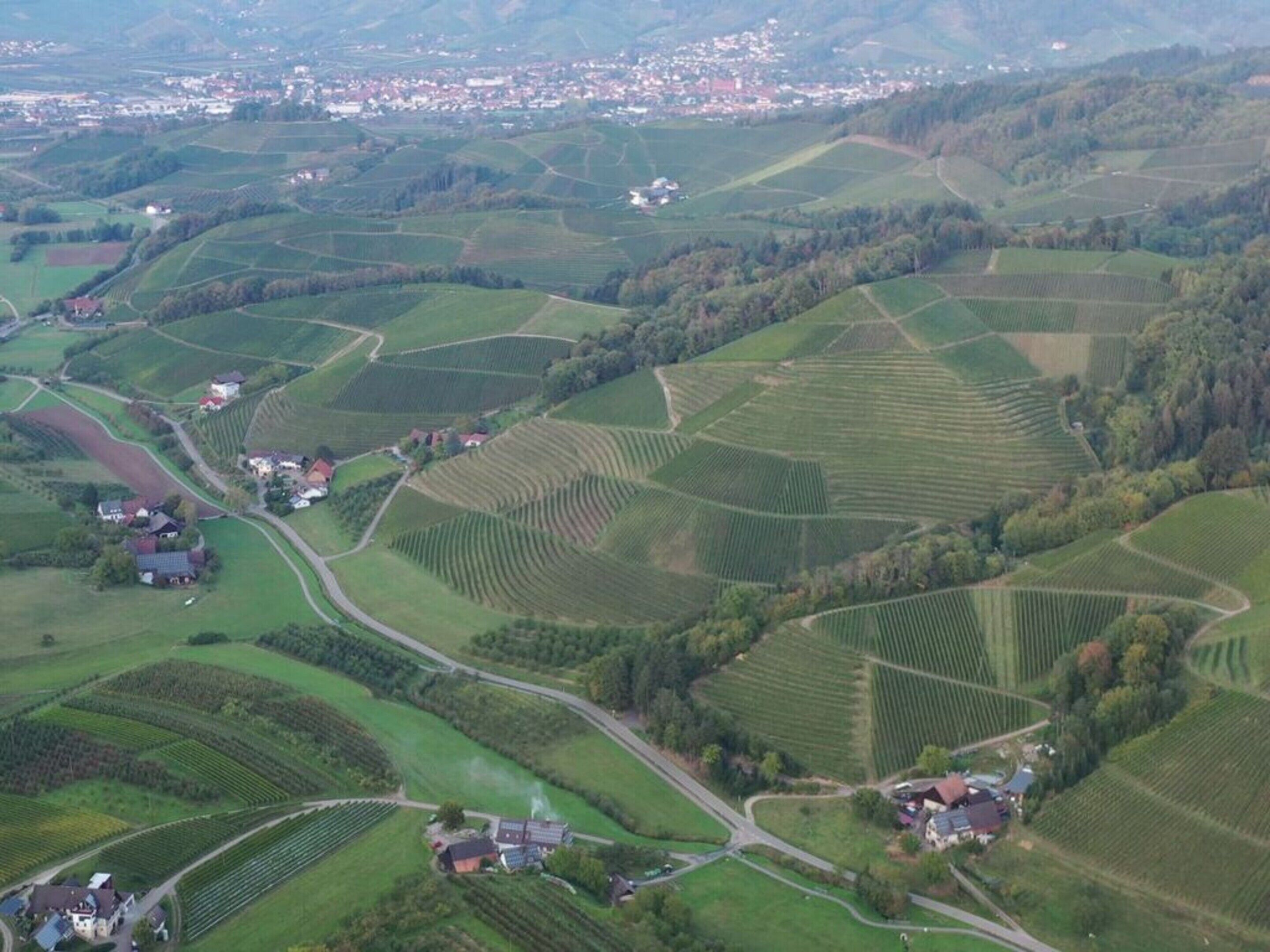 Eine Vogelperspektive auf eine ländliche Landschaft mit terrassierten Feldern, vereinzelten Häusern und einem kleinen Gebäude mit Schornstein.