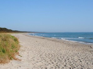 Beach - Nice Apartment in Glowe (Glowe)