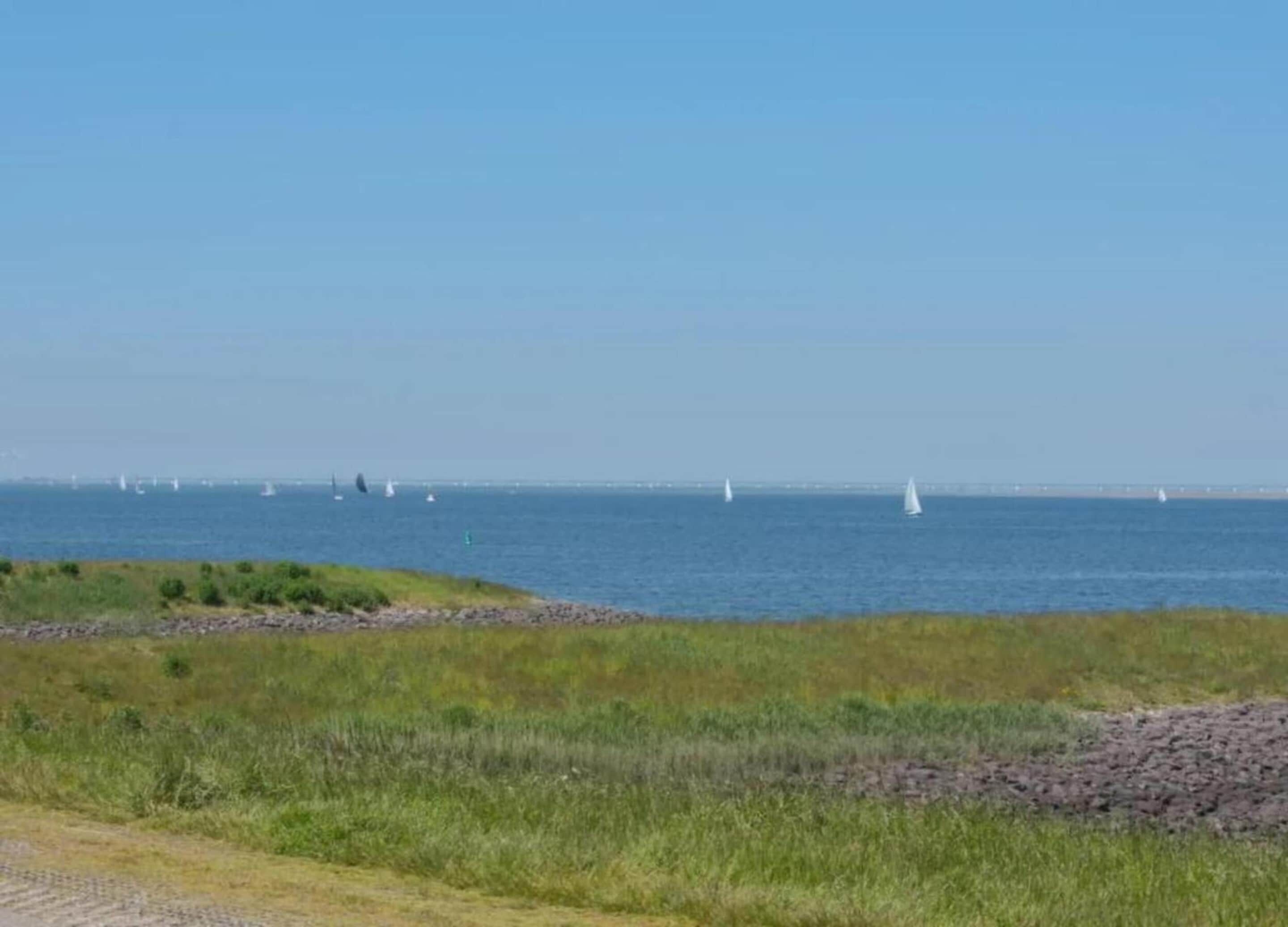 A coastal view with a clear sky and several sailboats on the water.