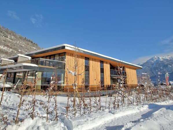 Exterior - Apartment in Neukirchen Near Ski Lift (Neukirchen am Grossvenediger)
