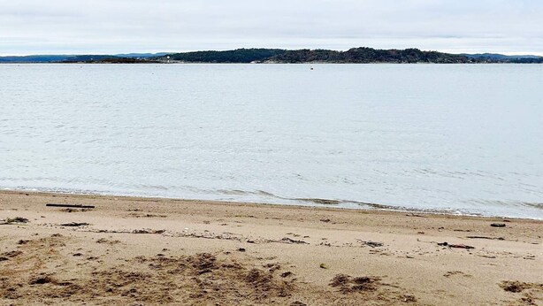 A beach with a sandy shore and calm water. - 4 Star Holiday Home in Helgeroa (Larvik)