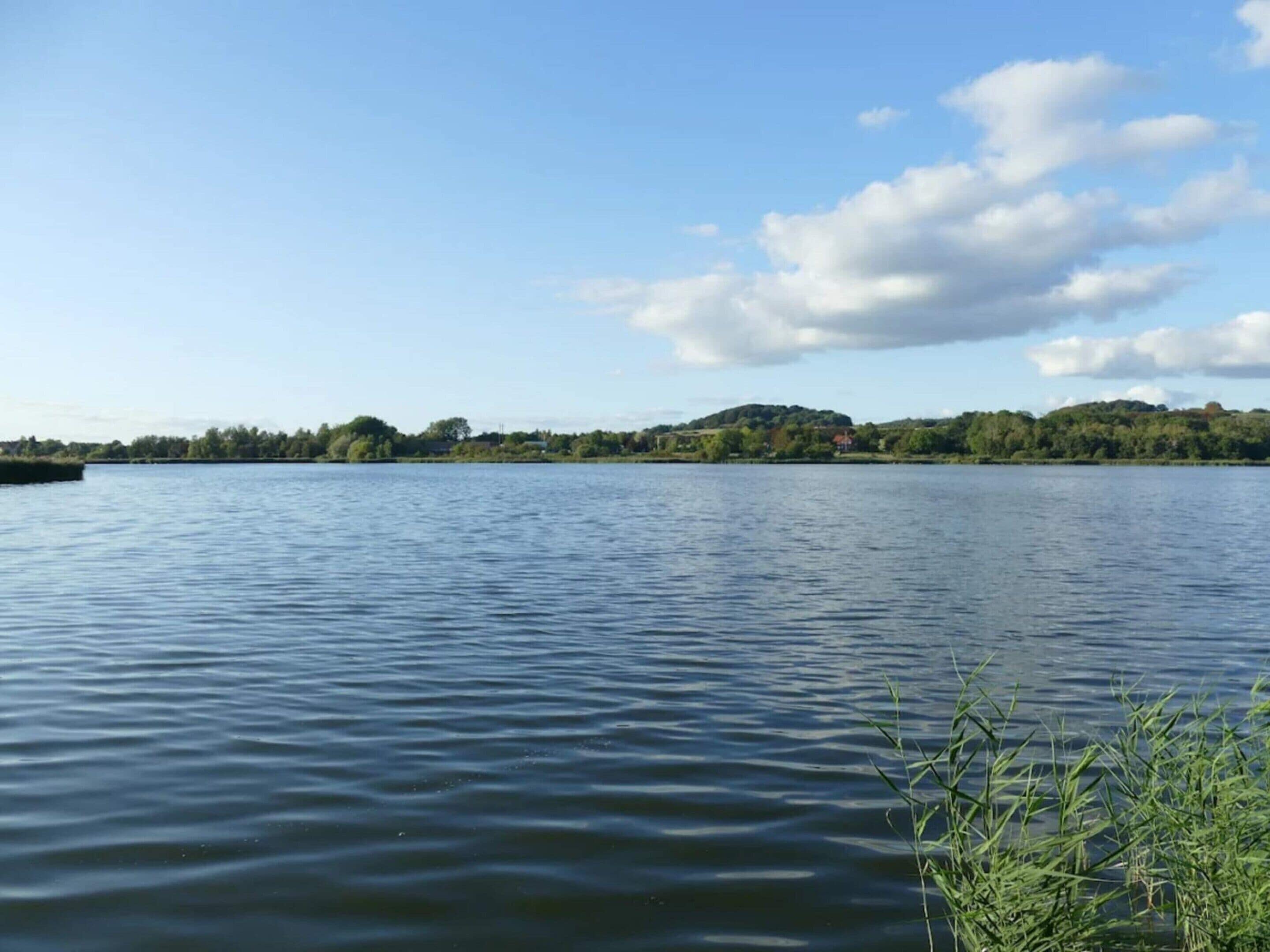 Een kalm meer met een verre oever, met bomen en een heuvel.