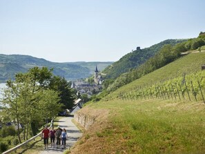 A scenic pathway with a stone wall on one side and a vineyard on the other, leading to a historic town with a prominent church tower. - Holiday Apartment Riesling (Lorch)