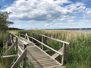 A wooden boardwalk leading to a body of water, surrounded by tall grasses. - Holiday Home Wiedblick (Rerik)
