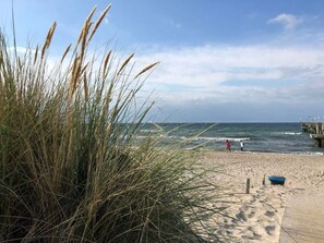 A beach with tall grass in the foreground, a wooden pier extending into the sea, and footprints on the sand. - Holiday Home Wiedblick (Rerik)