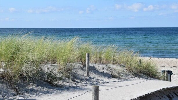 A beach with sand, grass, and the ocean. - Holiday Home Wiedblick (Rerik)
