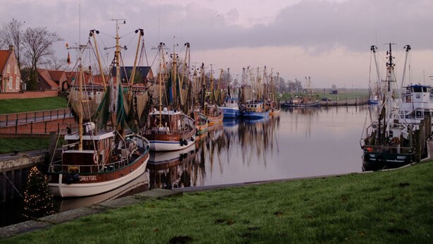 A harbor with multiple fishing boats docked, a Christmas tree, and a building with a red roof in the background. - Ostfriesland to Huus (Hinte)