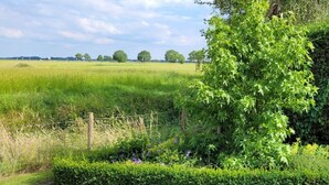 A rural landscape with a field, a hedge, and a tree. - Ostfriesland to Huus (Hinte)