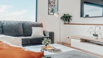 TV, fireplace, table tennis