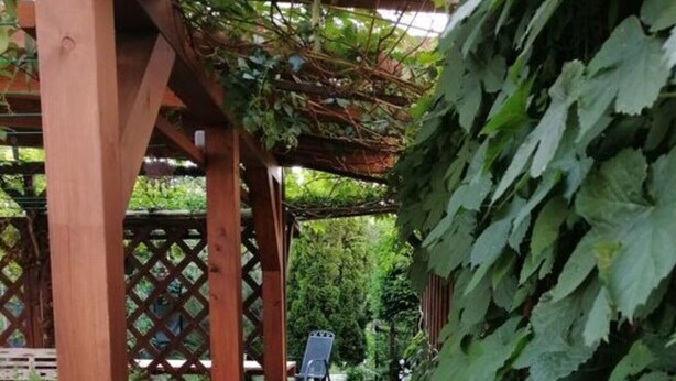 A wooden pergola with a brick pathway leading to a garden area. - Harz Enjoyment Modern Retreat (Wernigerode)