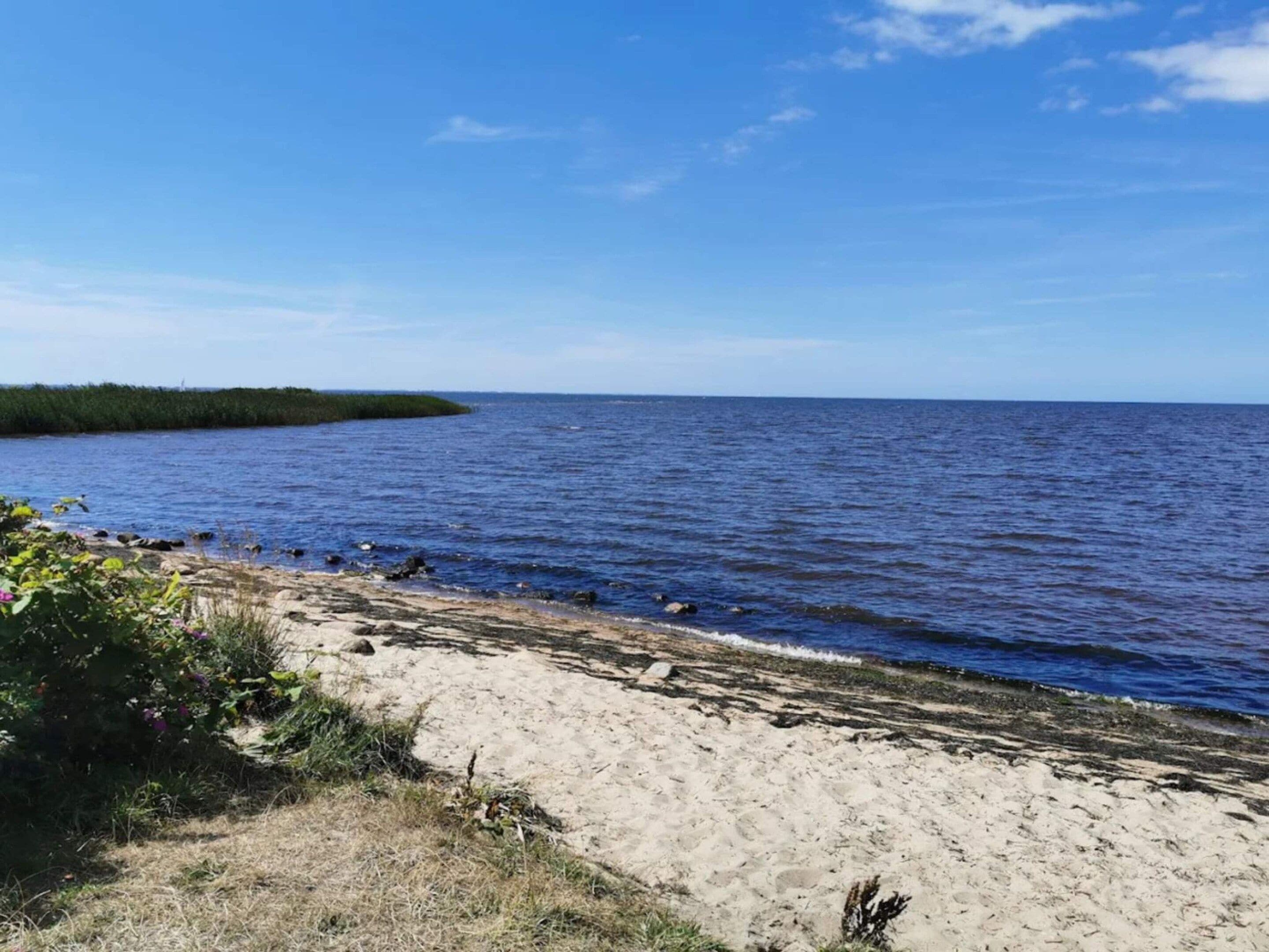 Uma praia com águas claras, areal arenoso e uma linha de costa distante com vegetação.