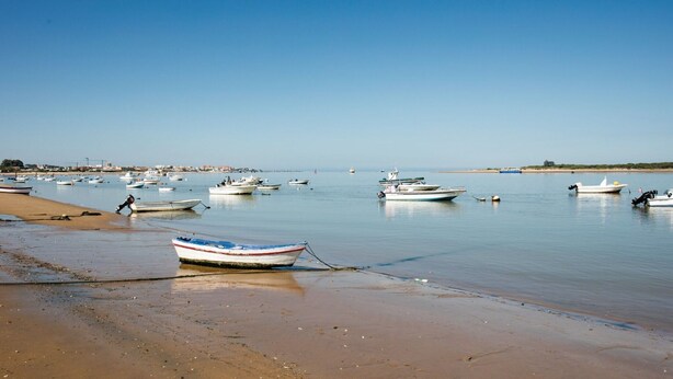A beach with several boats anchored in calm waters.