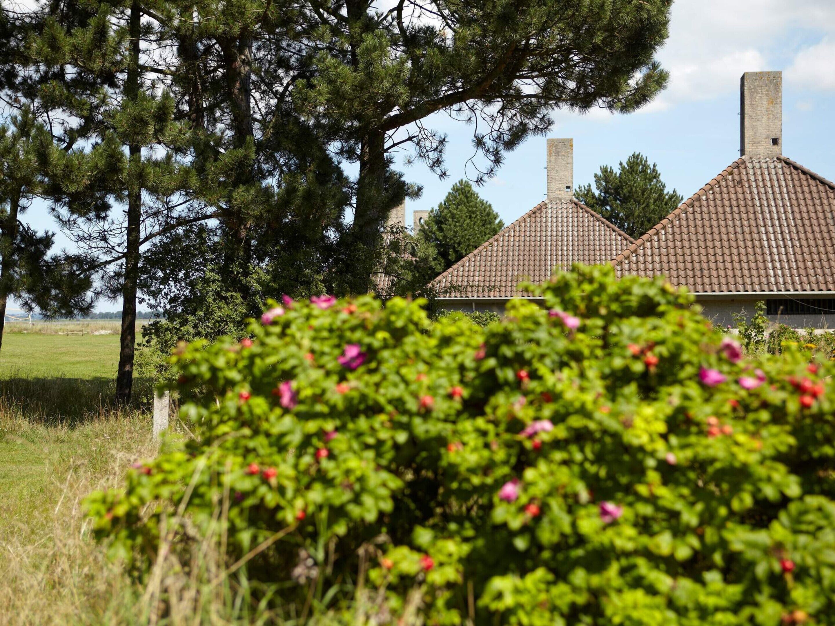 Maison | Vue depuis l’hébergement