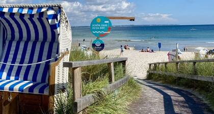 Cuddly Shell Modern Retreat