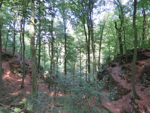 Zelt | Außenbereich