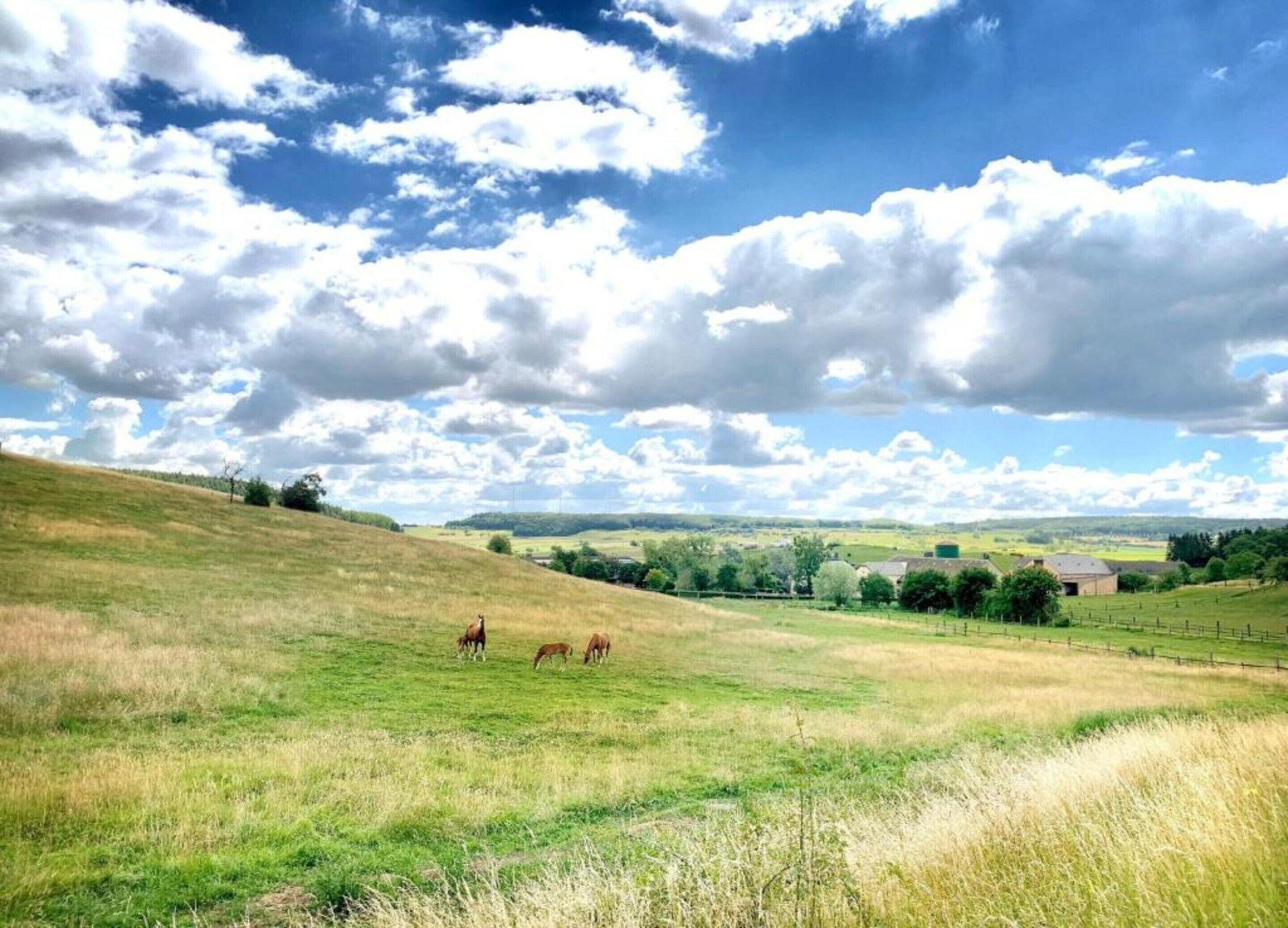 Zelt | Blick von der Unterkunft